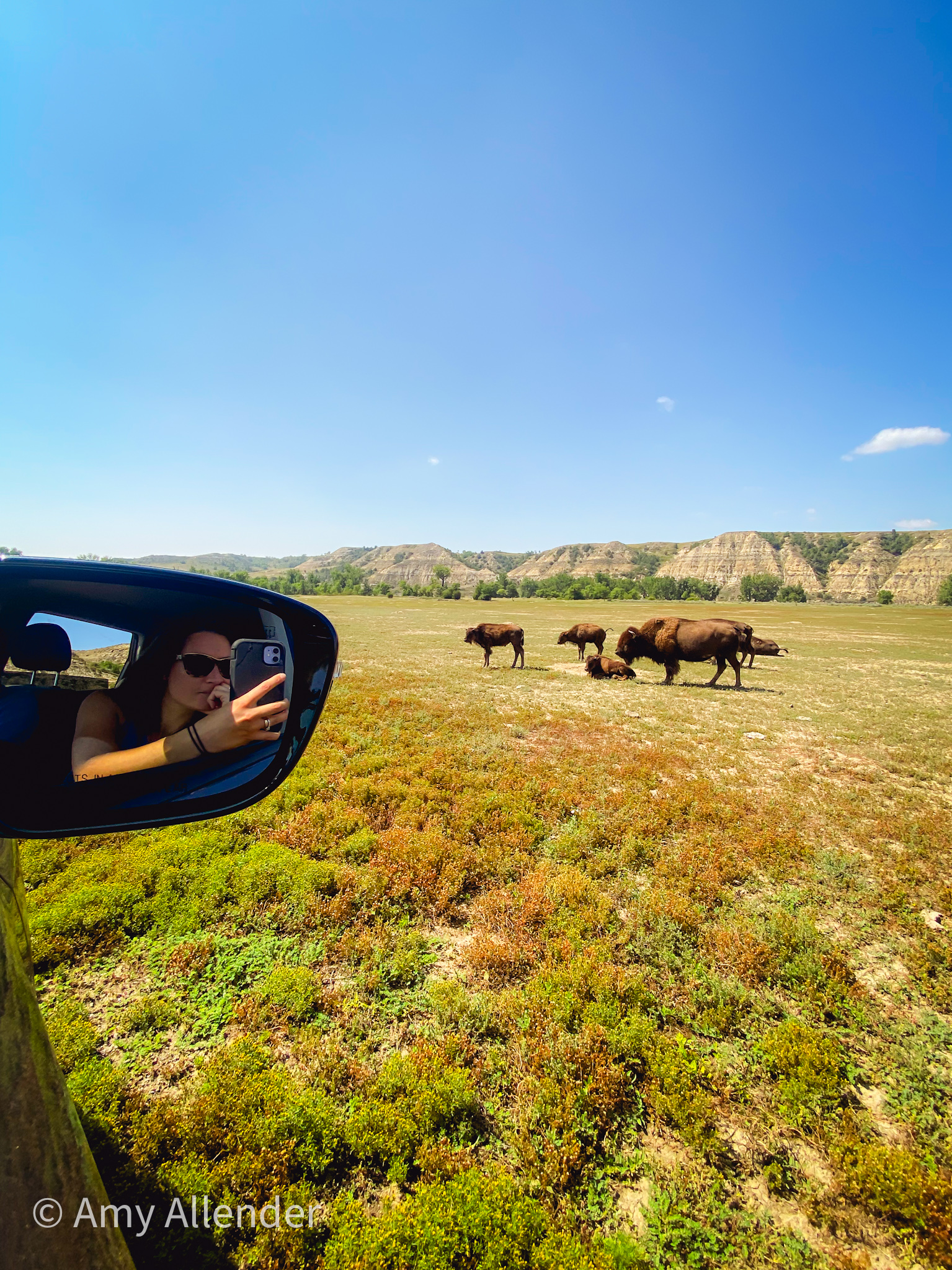 Wild Life Loop Theodore Roosevelt National Park | Things to do in Medora, ND