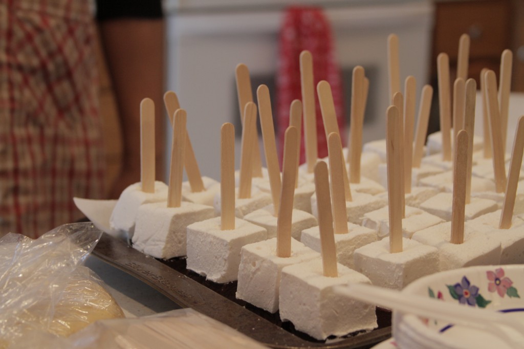 Hot Chocolate on a Stick