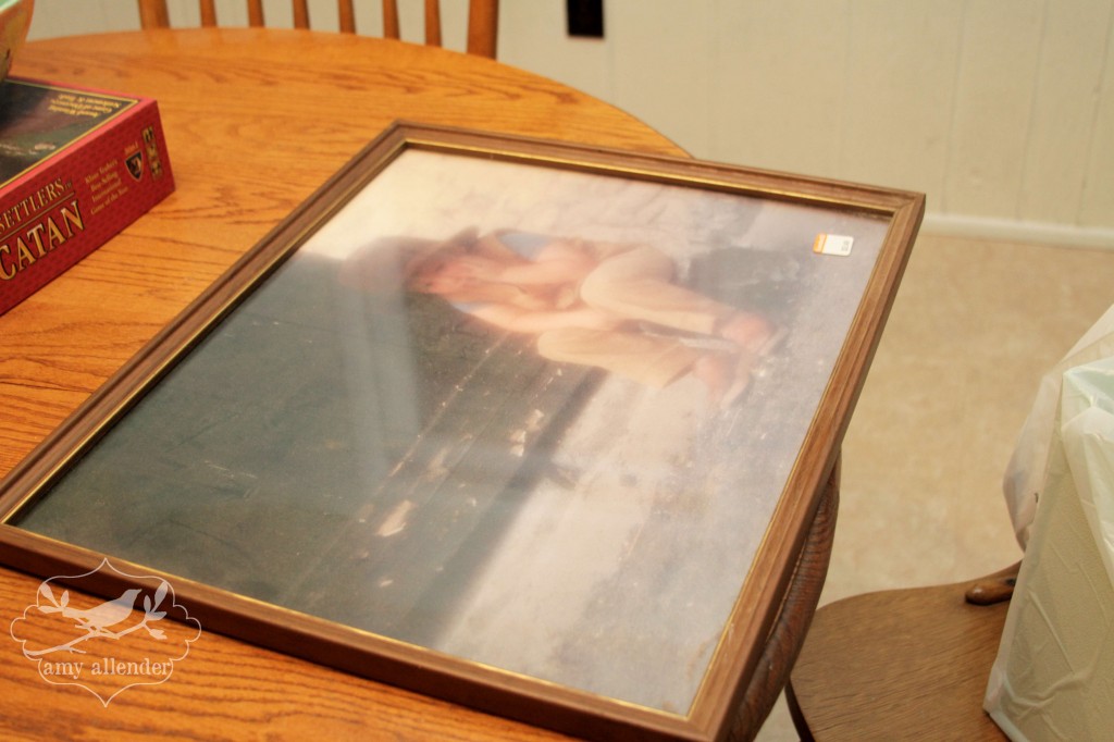 Goodwill Frame