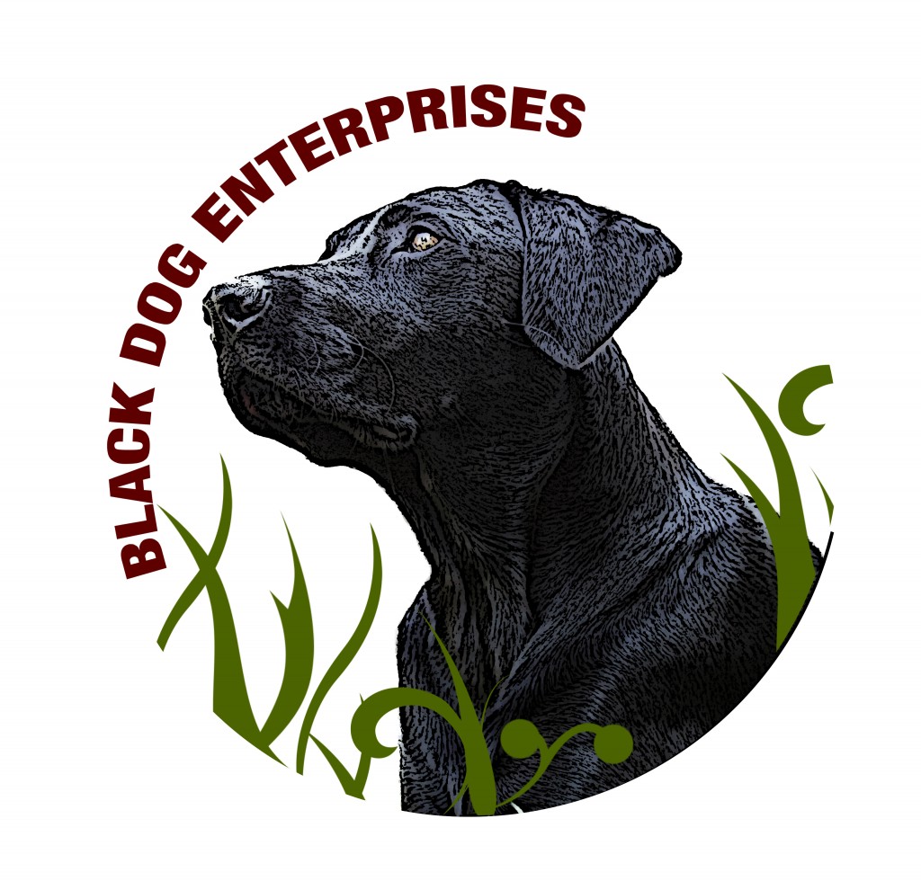 Black Dog Enterprises Amy Allender