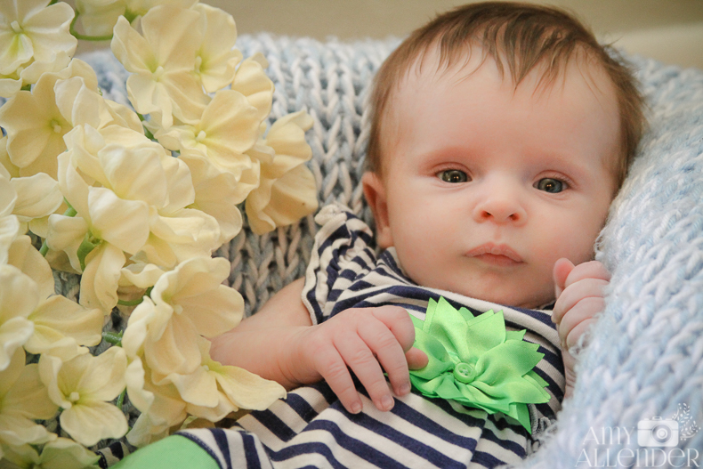 Chalkboard newborn session