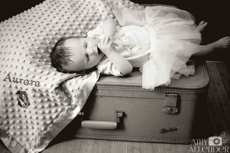 chalkboard newborn portraits