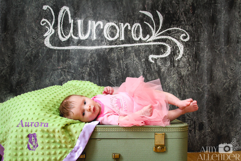 chalkboard newborn portraits