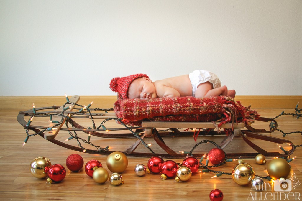 new born christmas session