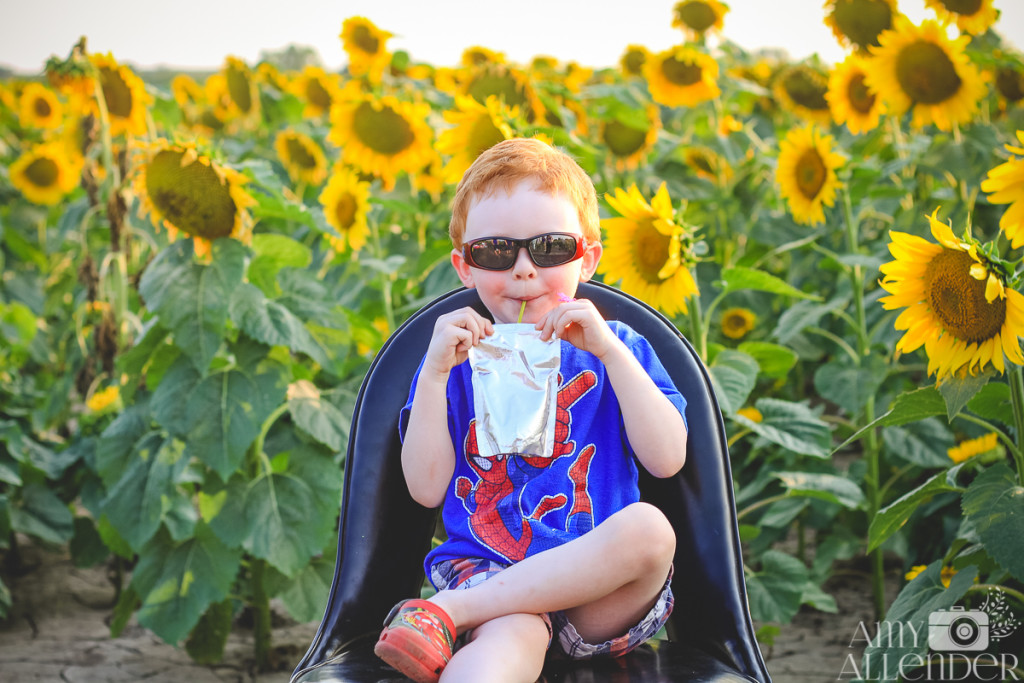 sunflower mini session