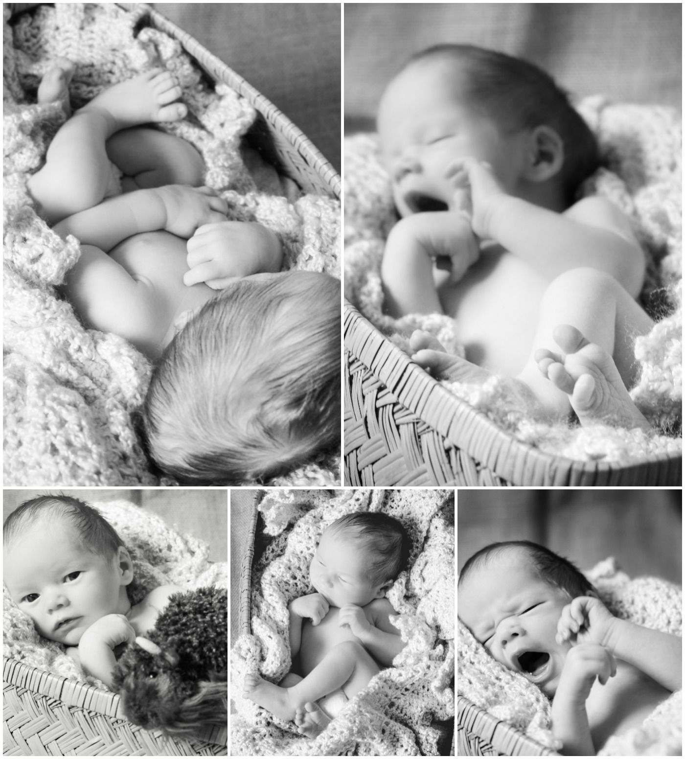 black and white newborn photography