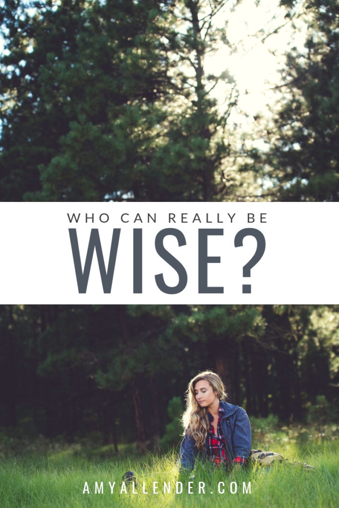 who can be wise