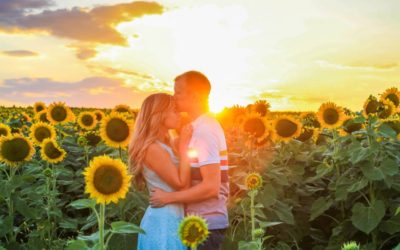 Minot Monday | Take Your Own Sunflower Photos