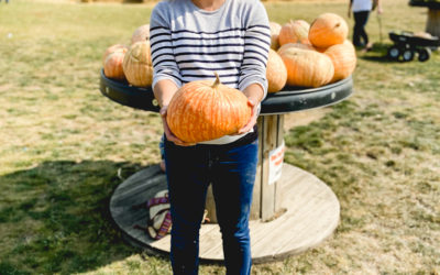 Get to the Amazing Berry Acres Pumpkin Patch| Minot Monday
