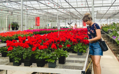 A Simple Secret for Actually Growing Flowers in North Dakota